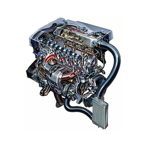 Motor